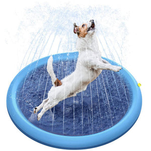 Tanzschwimmbad für Hunde & Familie