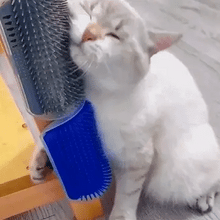 Laden Sie das Bild in den Galerie-Viewer, Katze selbst Groomer Haarentfernung Massage Bürste
